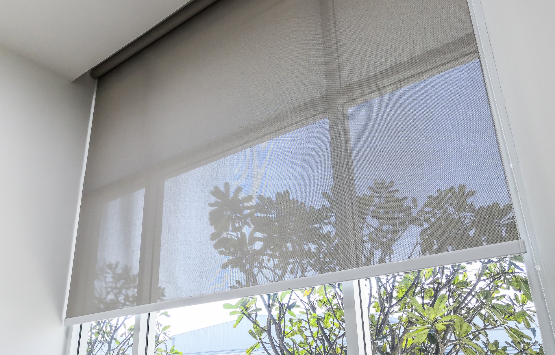 Roller Blinds Ballina and Surrounds Summerland Screens