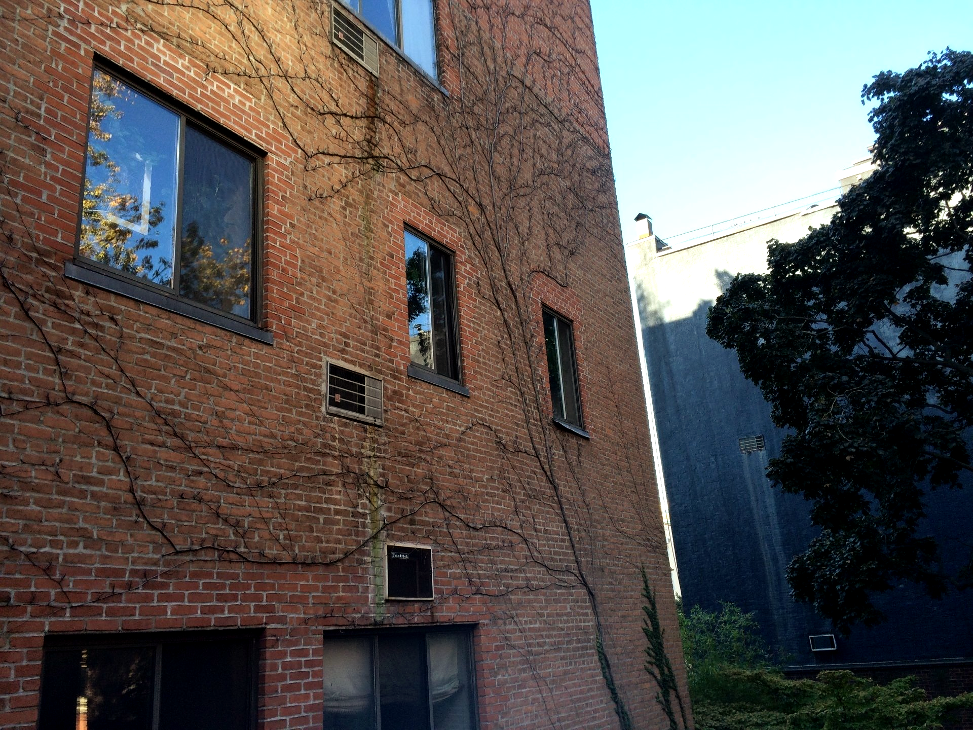 Stone Engineering & Architecture, DPC | NYC