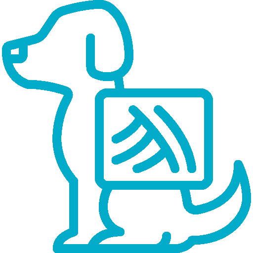 Icona radiologia digitale