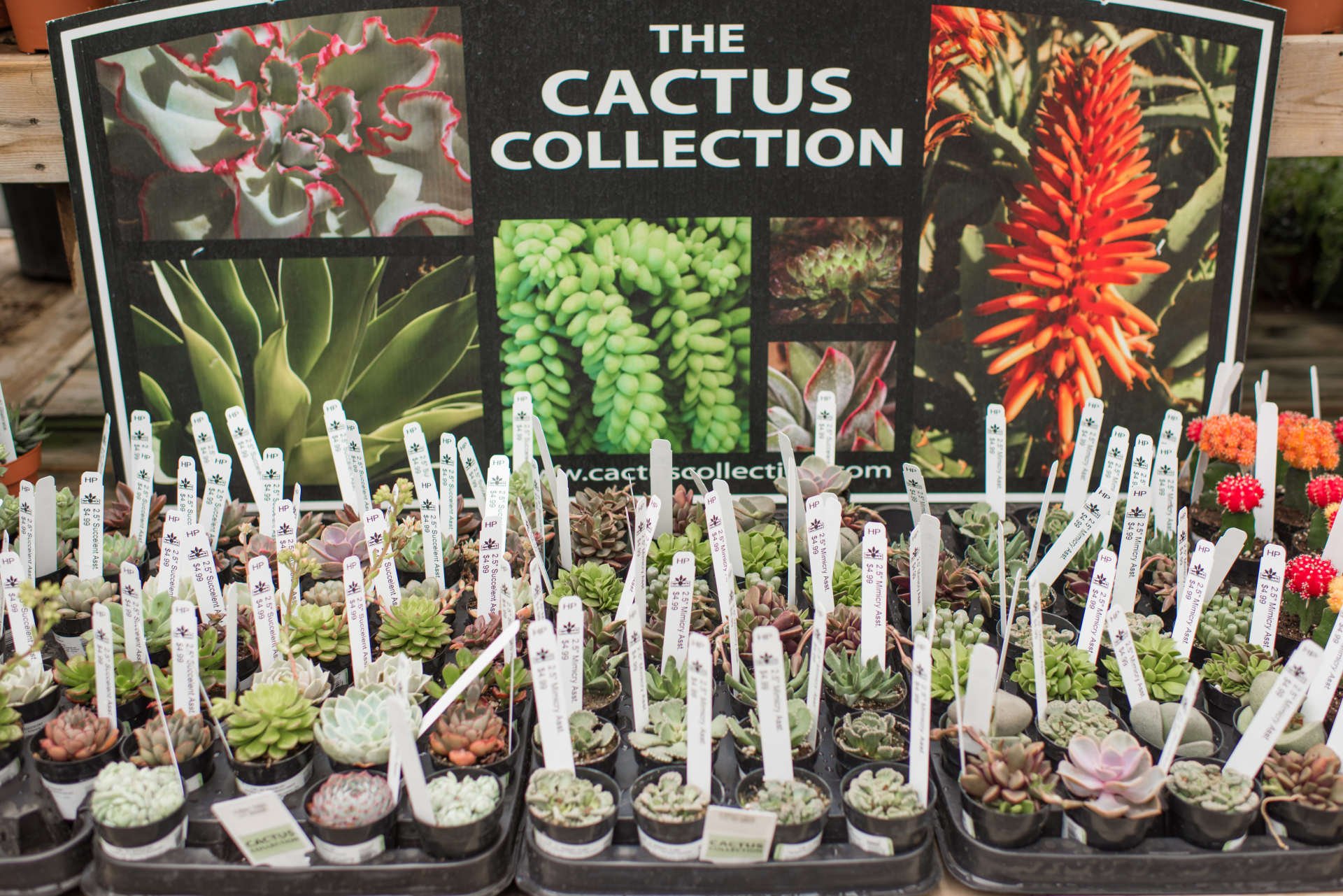 Sprague’s Nursery & Garden Center Plant Nursery Bangor, ME