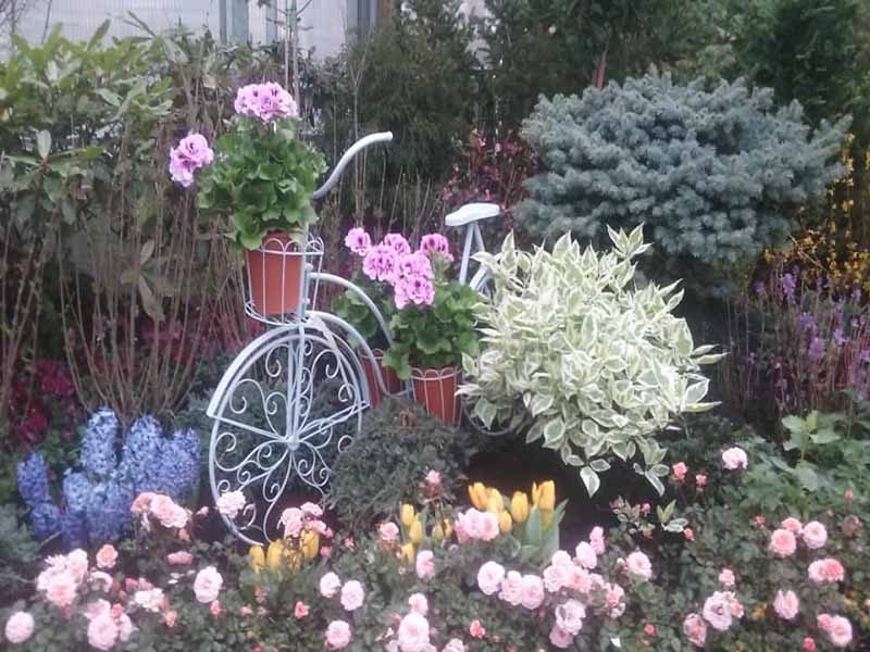 Sprague’s Nursery & Garden Center Plant Nursery Bangor, ME