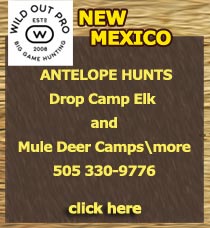 Licensed Hunting Outfitter-Licensed Hunting Guide, Elk, Bear, Deer, Hog