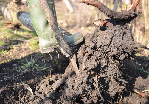 Plumbing work in progress 
