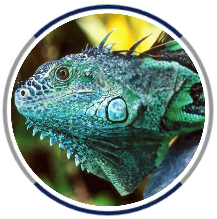 Online Pet Supplies & Local Pet Shop | Barnes Pet Supplies