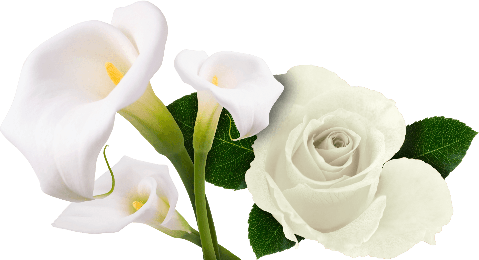 McGuigan & Bero Funeral Home | Geneva, NY