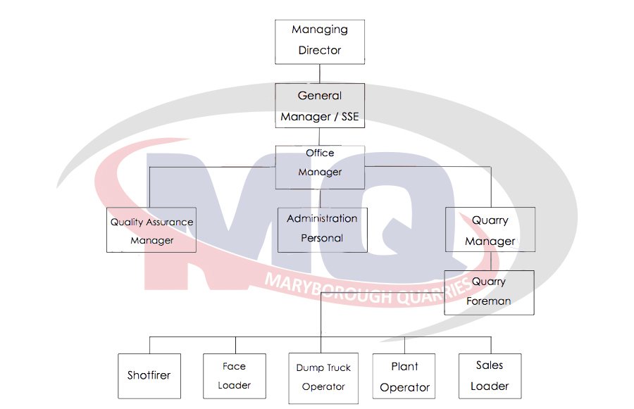 org chart
