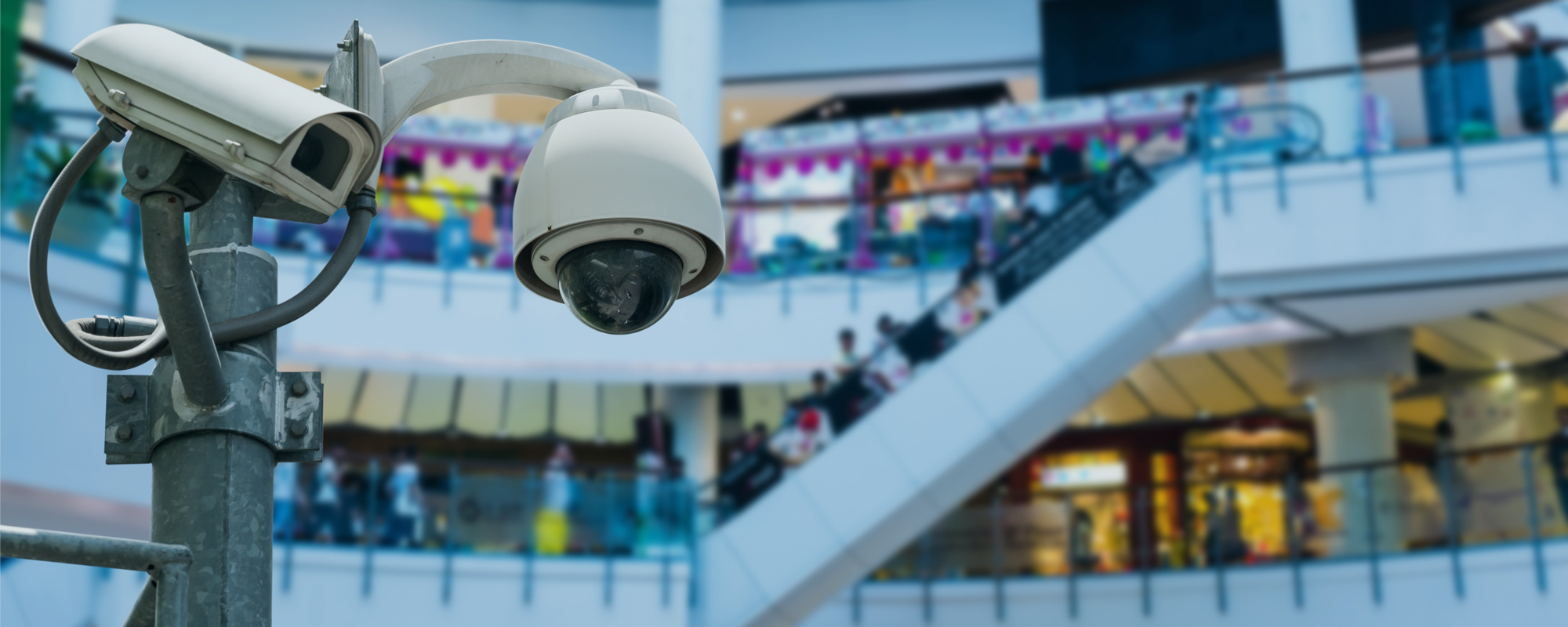 IntelliSec Security Company Auckland