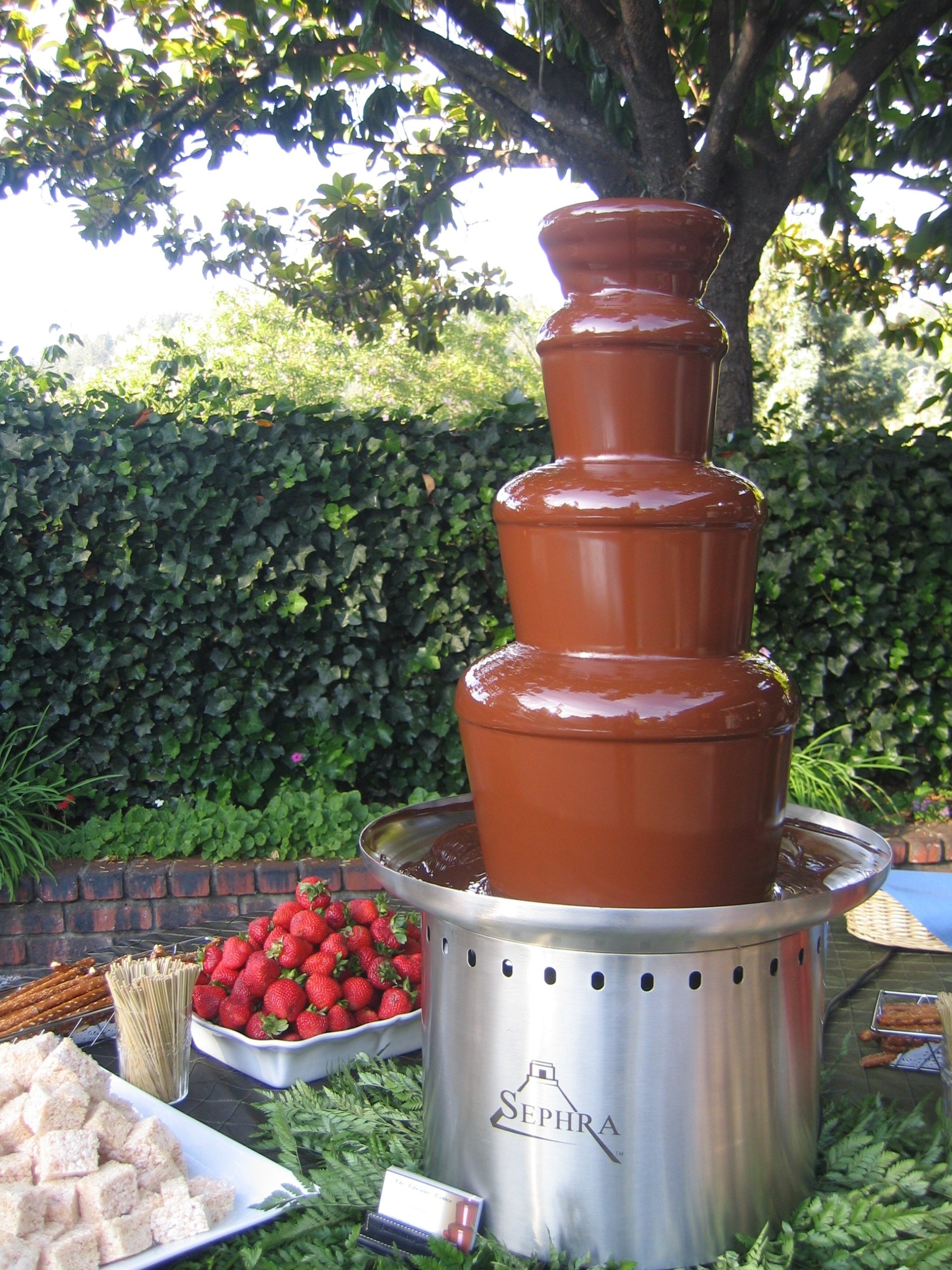 San Francisco Bay Area Chocolate Fountain Gallery