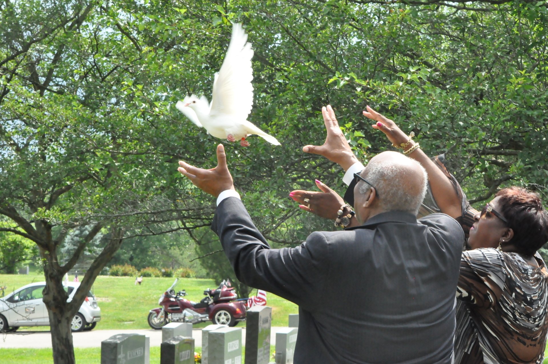 Funeral Services Erlanger, KY A Sign Of Peace White Dove Releases