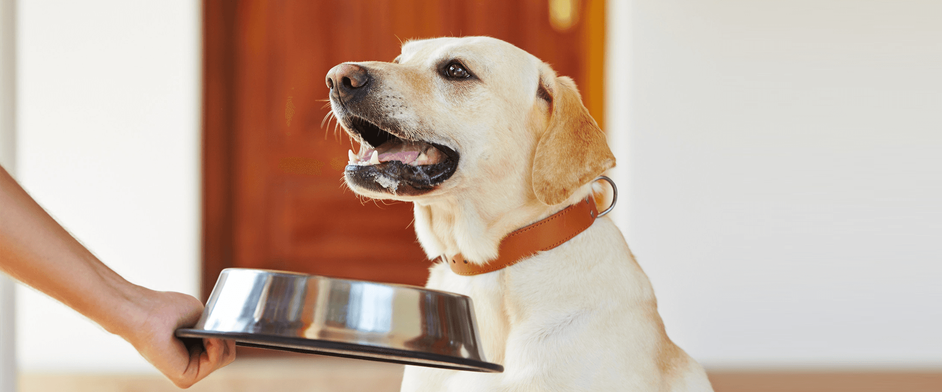 NiMAX COUNTRY STORE, animal feed supplier in Wisbech