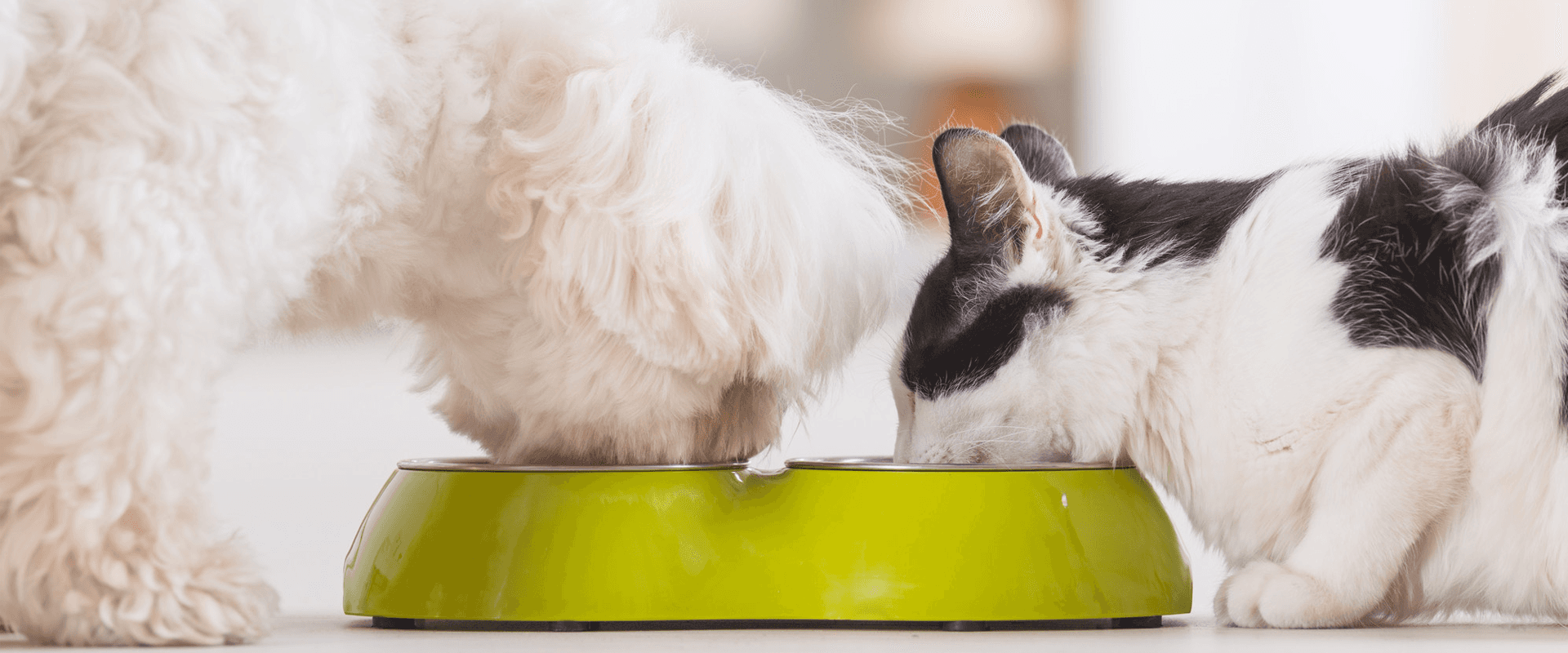 NiMAX COUNTRY STORE, animal feed supplier in Wisbech