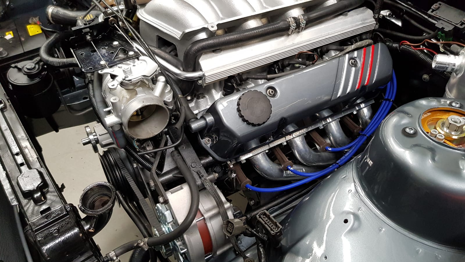 Commodore Restoration Project Top Speed Motor Group