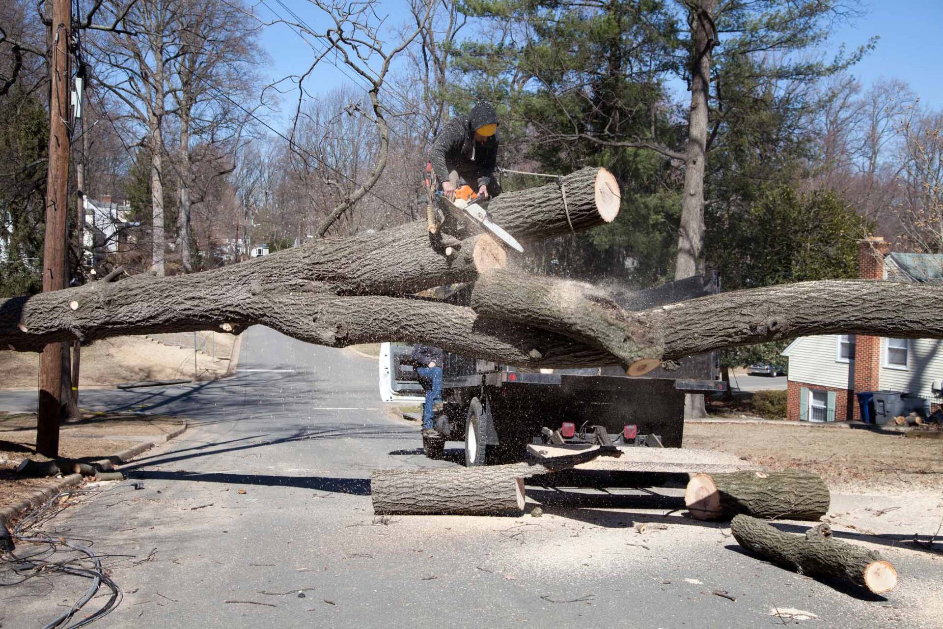 Storm Damage Fredericksburg, VA Mitchell Tree & Stump Service