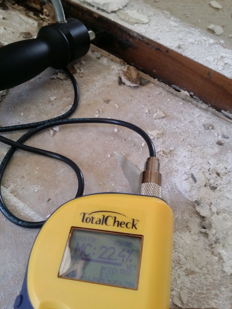 Water Extraction and Carpet Drying Toowoomba Focused On Cleaning