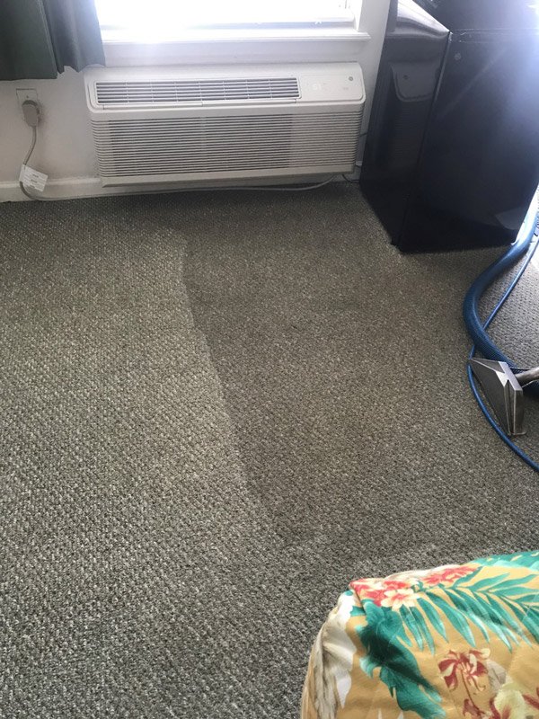 Work Portfolio Ormond Beach, FL Superior Carpet Cleaning