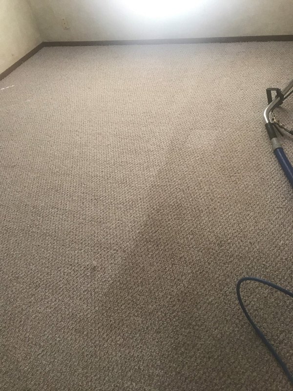 Work Portfolio Ormond Beach, FL Superior Carpet Cleaning