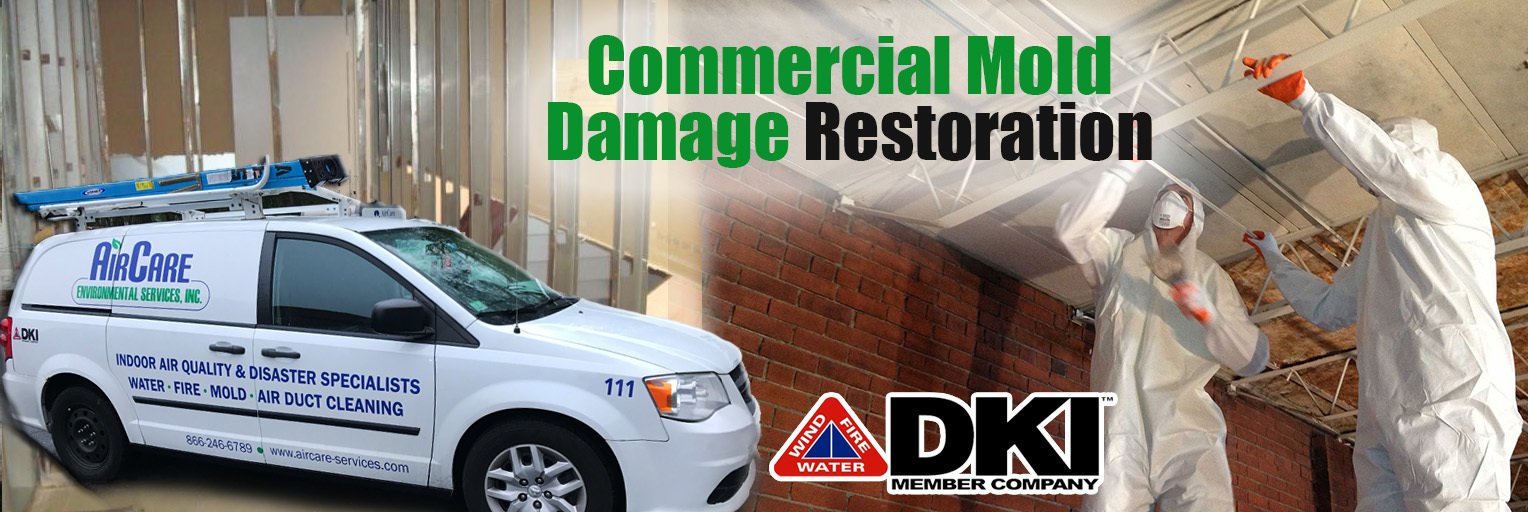 Certified Mold Testing, Remediation & Removal Company