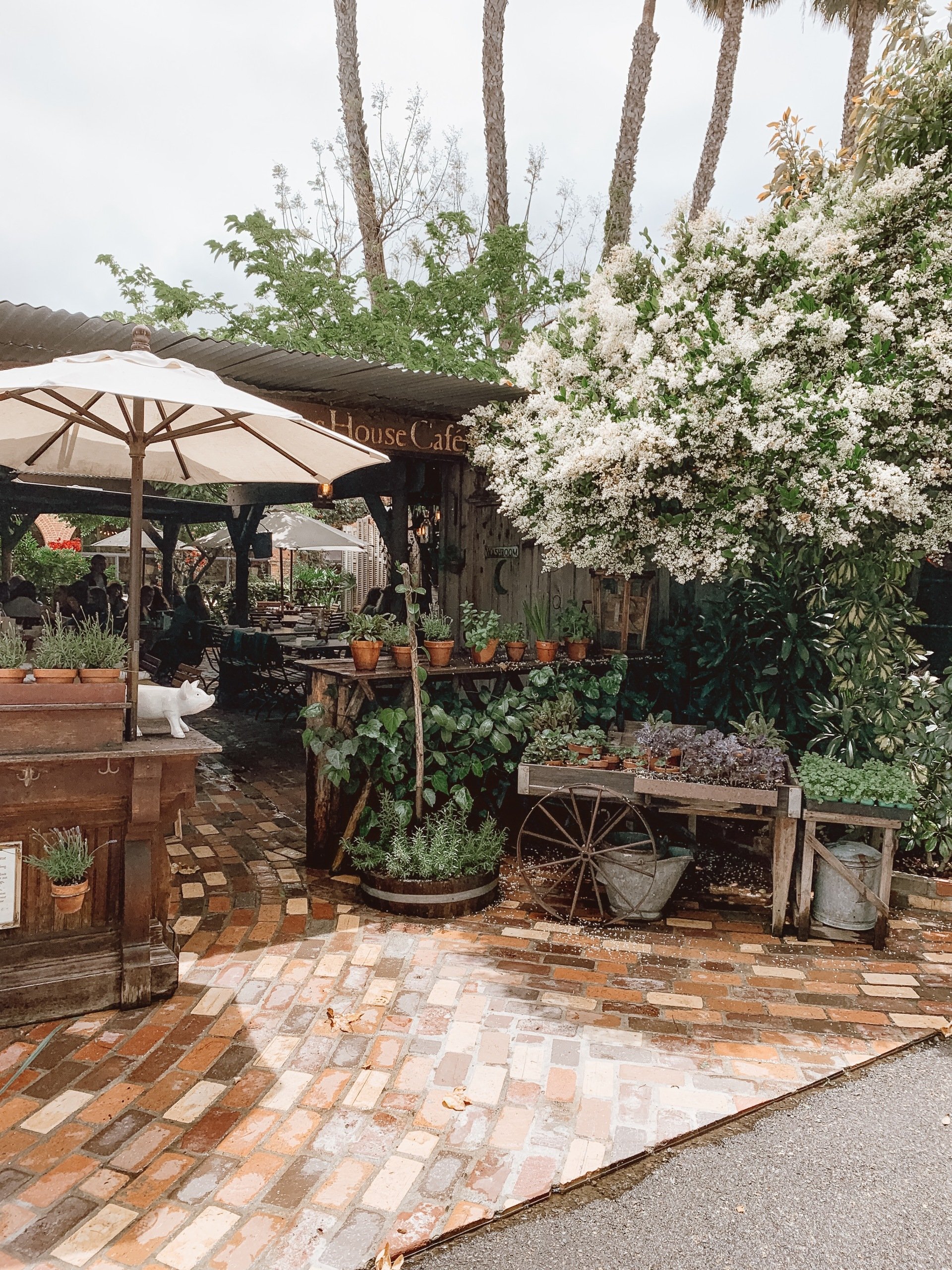 Gallery for The Ramos House Café