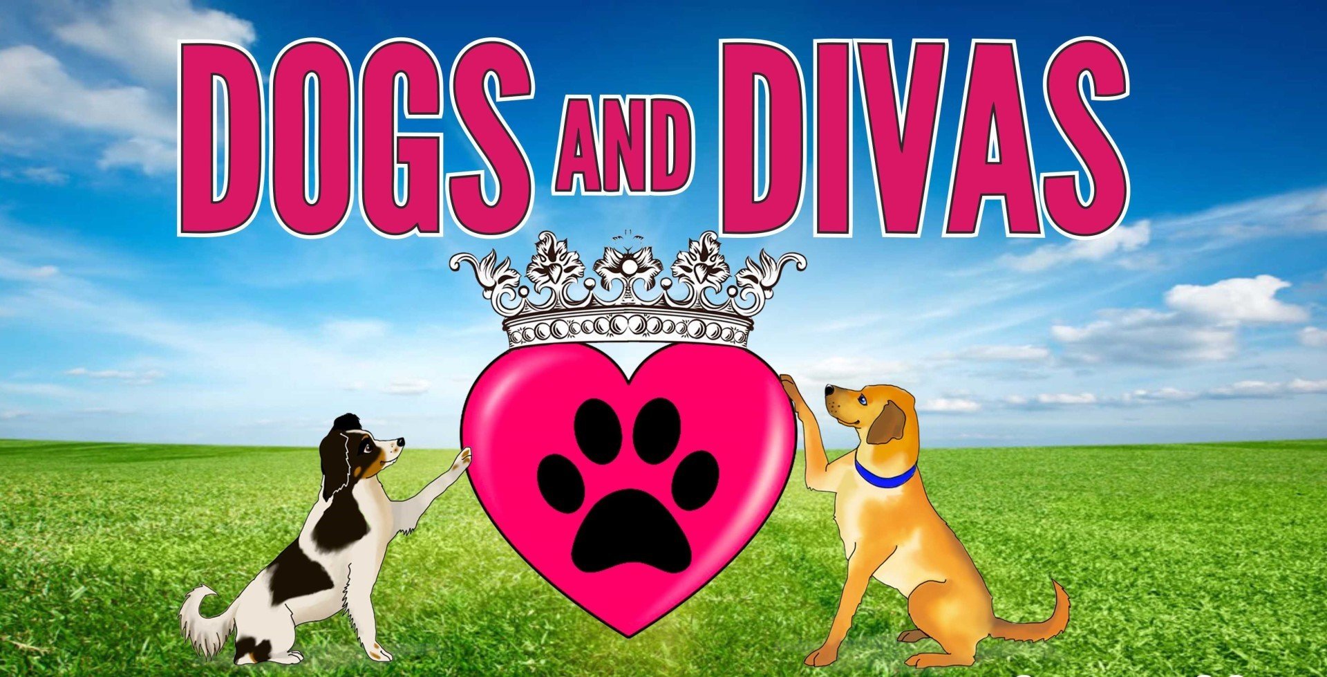 Doggy daycare centre Manchester Dogs & Divas Doggy Daycare Trafford