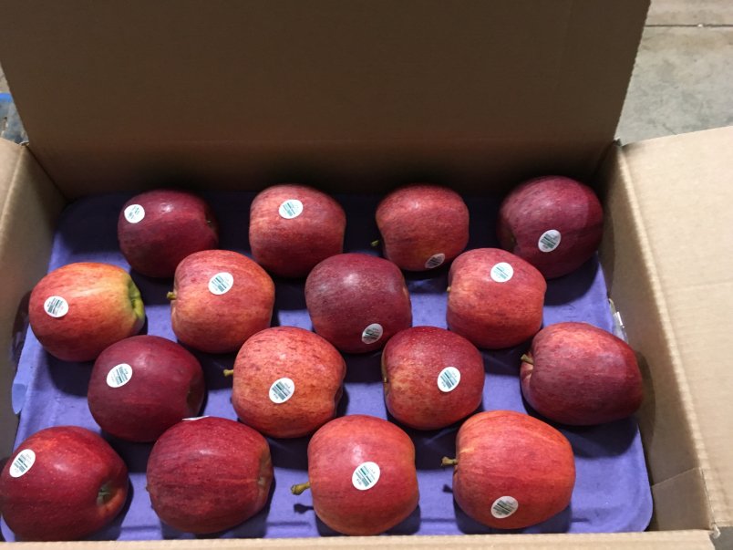 Apple Fruit Packaging
