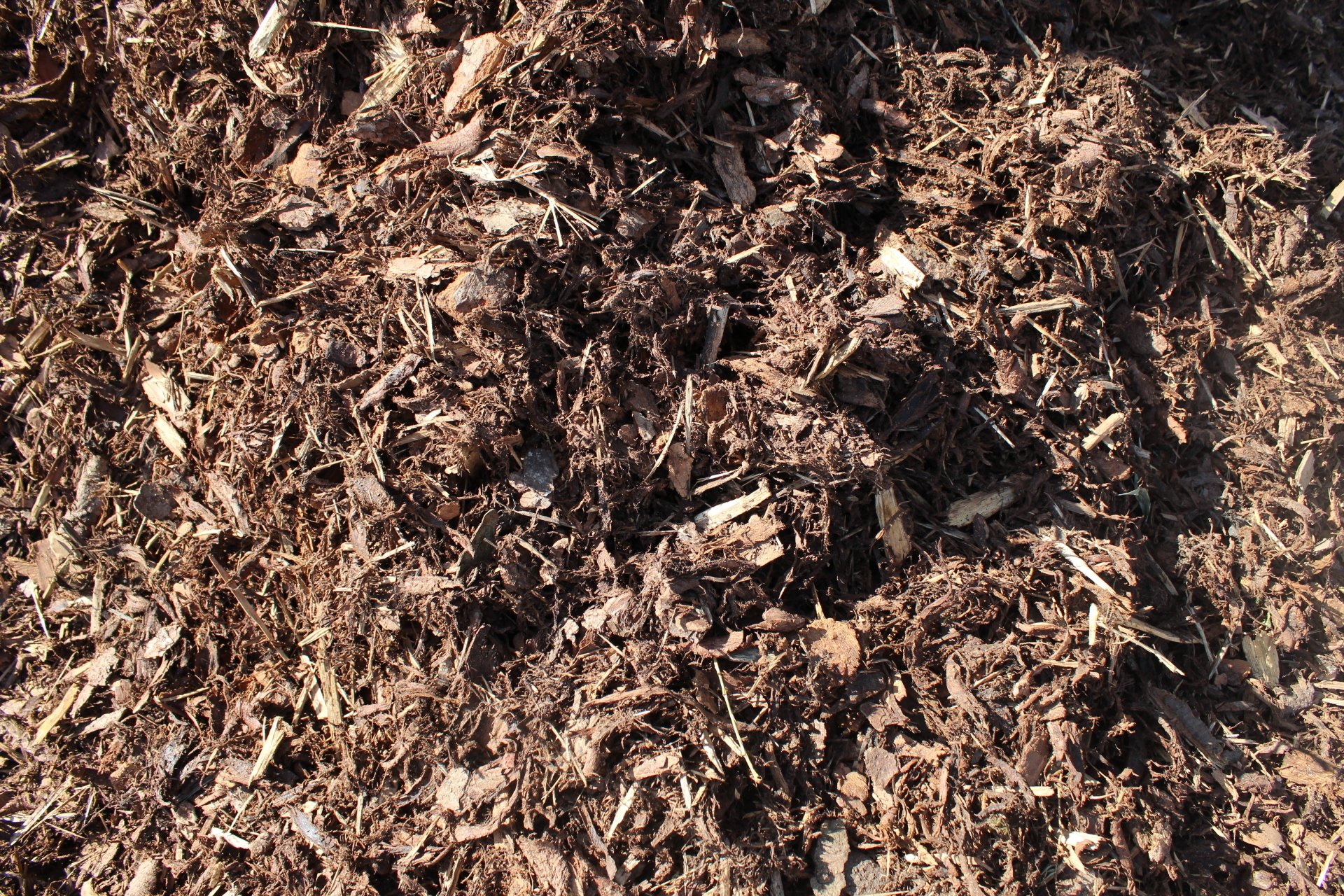 Les avantages écorces de résineux