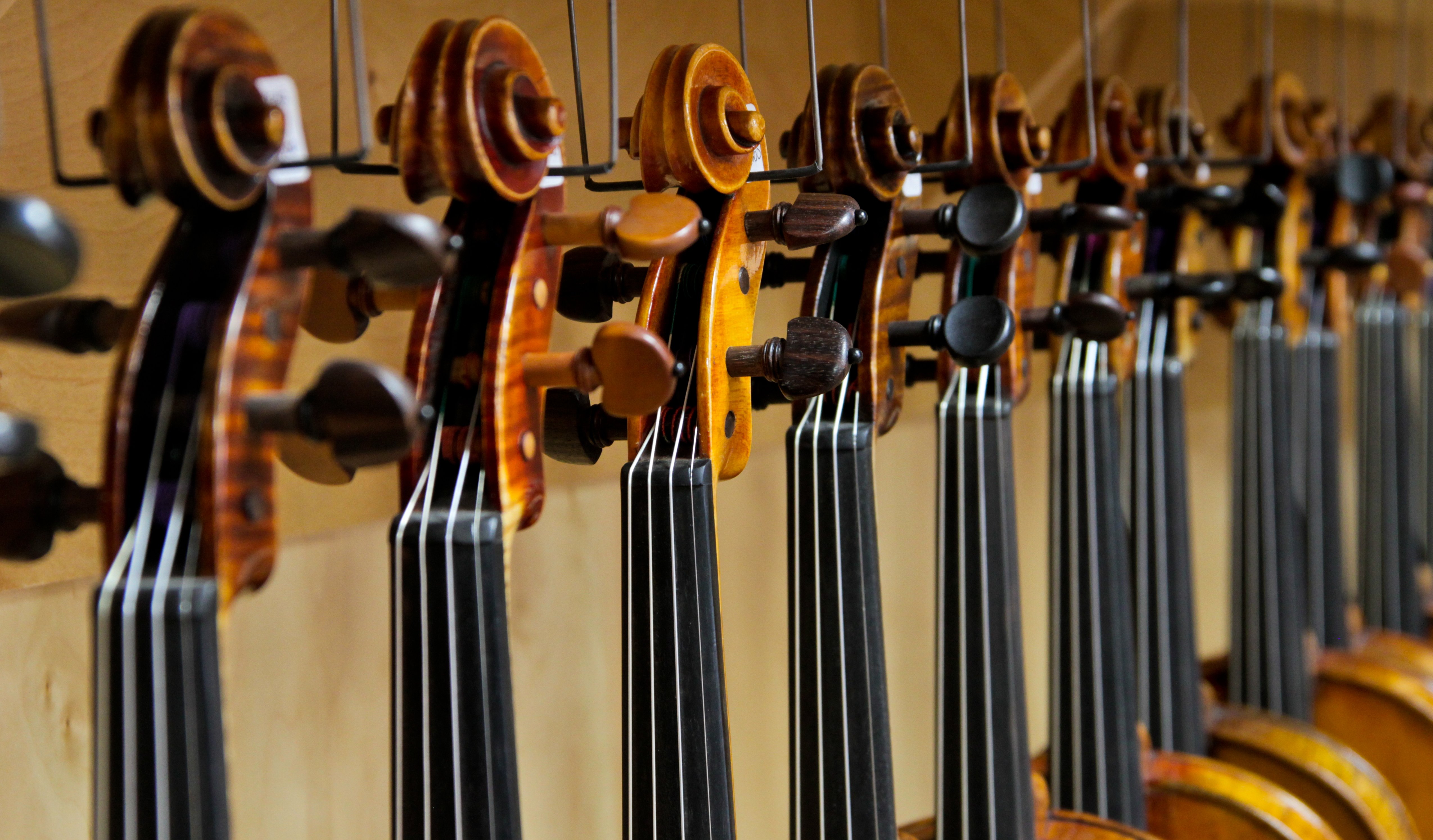 Terra Nova Violins String & Violin Studio San Antonio, TX Houston