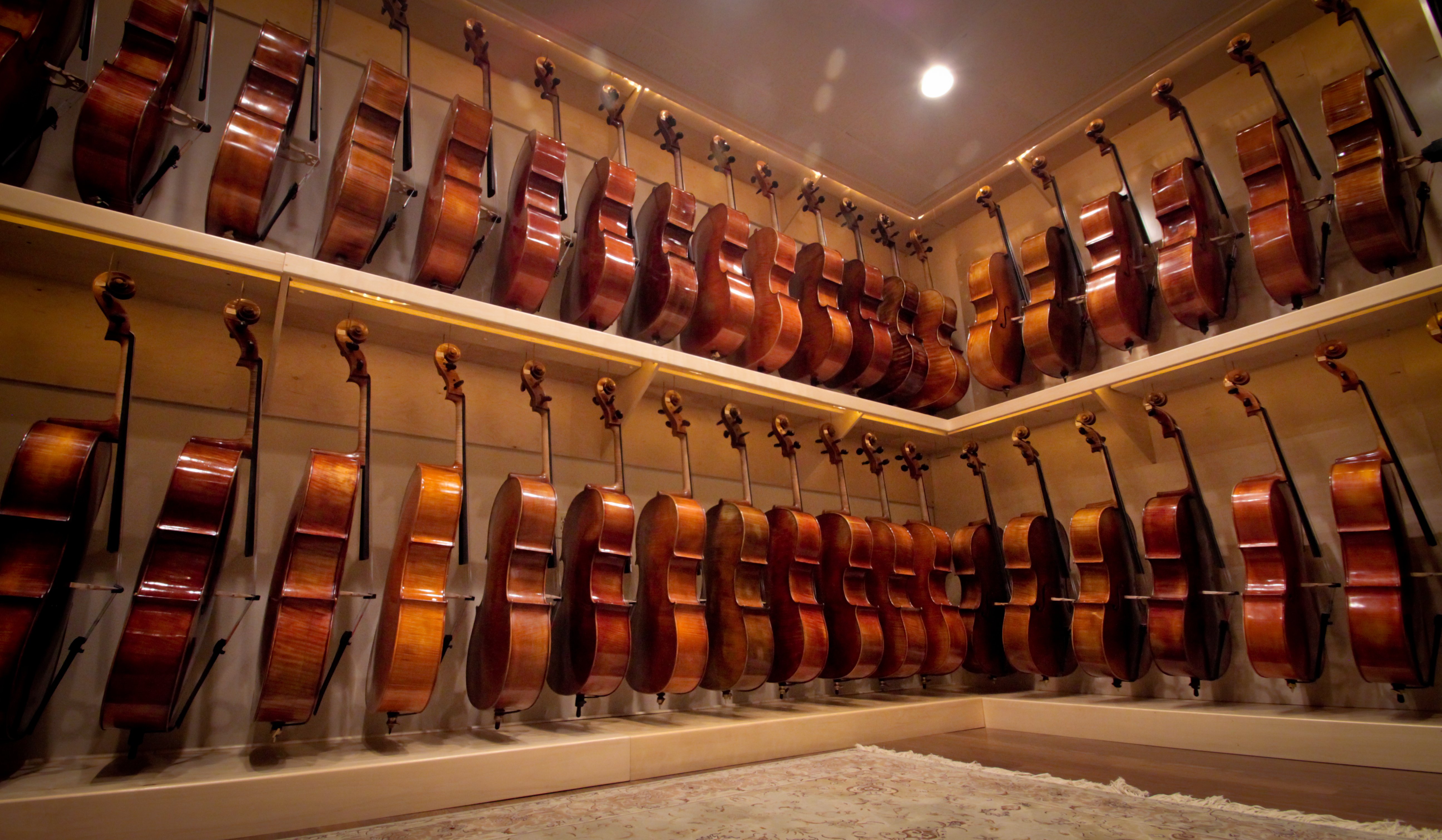 Terra Nova Violins String & Violin Studio San Antonio, TX Houston