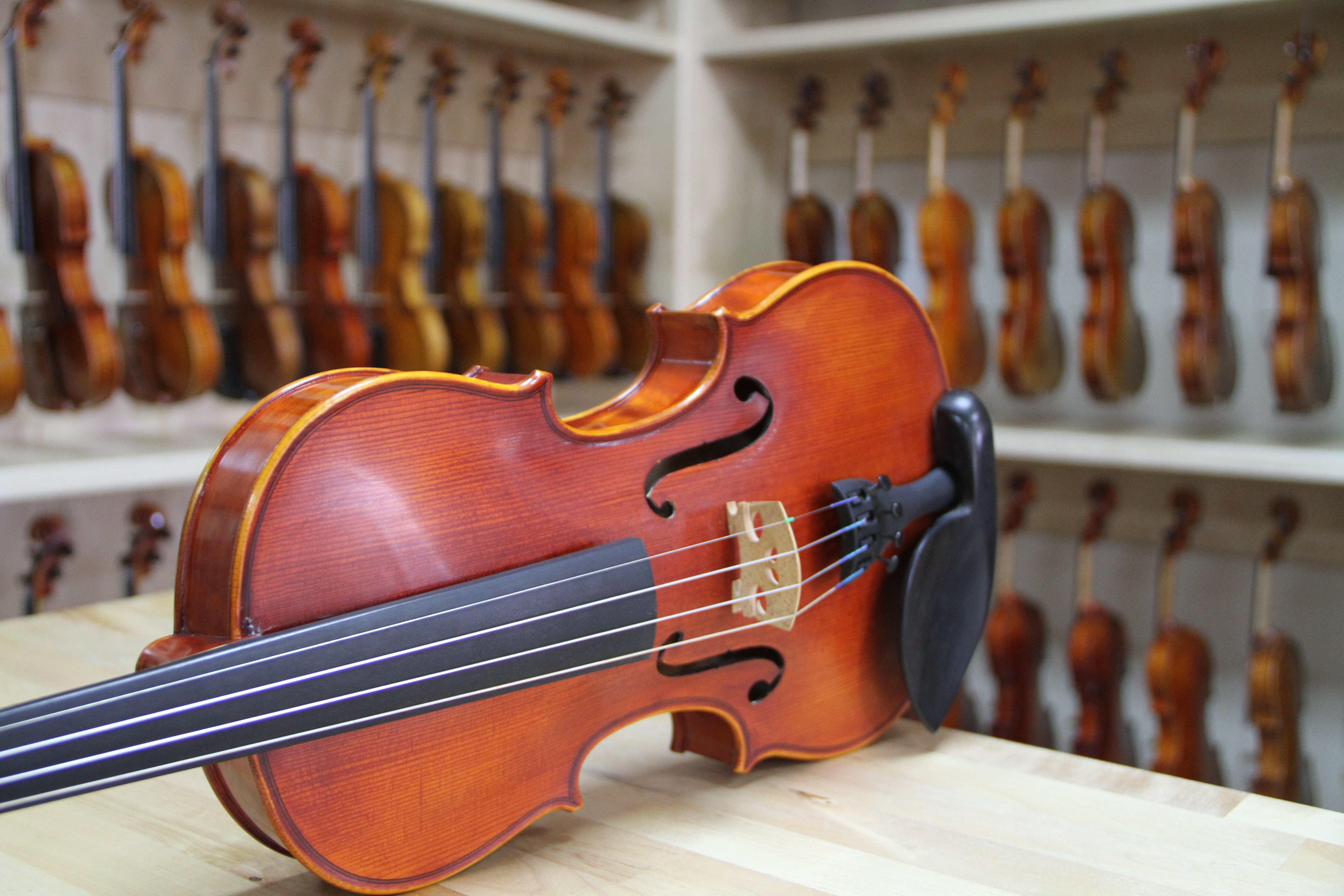 Terra Nova Violins String & Violin Studio San Antonio, TX Houston