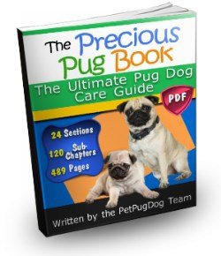 everything pug book the precious pug book complete pug care guide everything pug book the precious pug book complete pug care guide