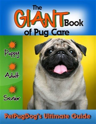 pug care and the book of pug care in both print and ebook pug care and the book of pug care in both print and ebook