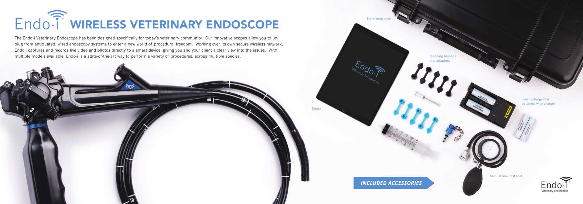 Flexible Video Endoscopy