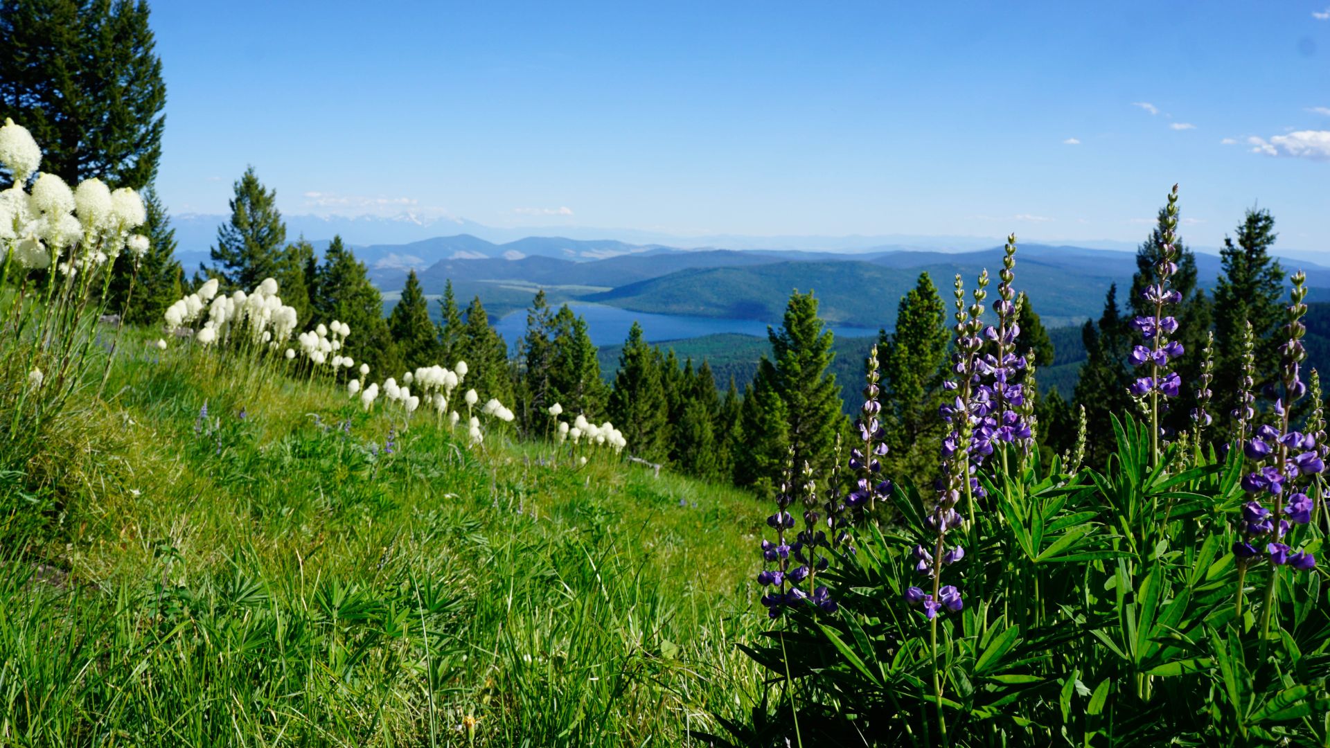 Flathead Home Insurance / Personal Insurance Kalispell