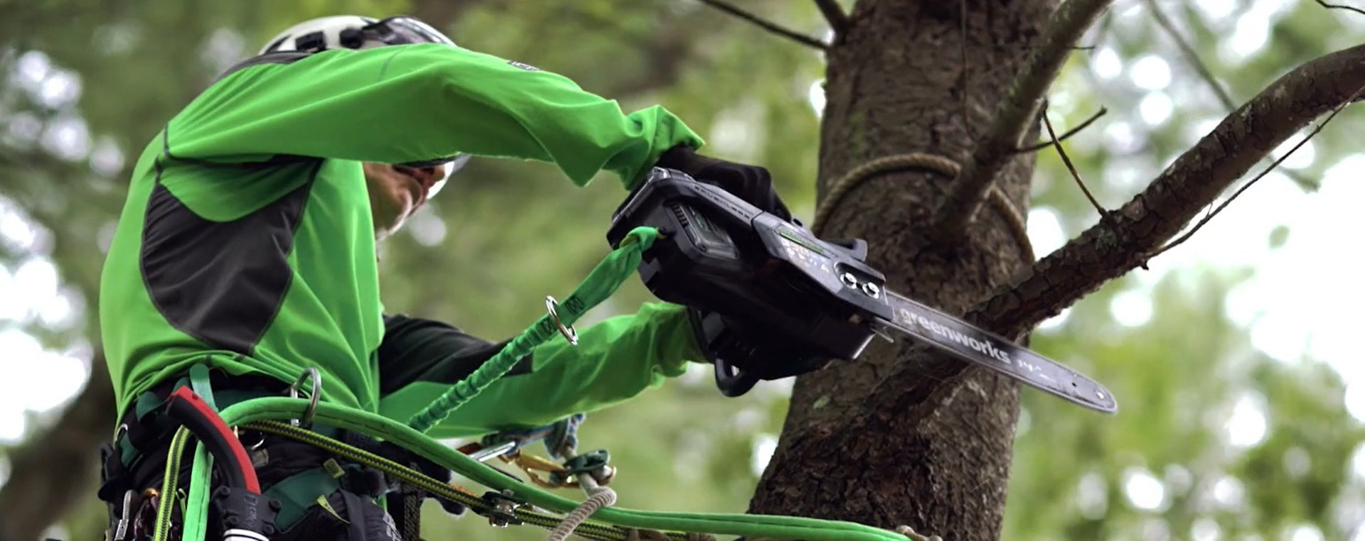 Press Release: Greenworks partners with famed arborist – Ken Palmer