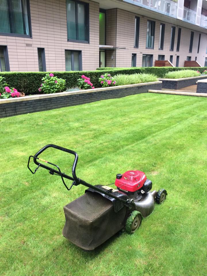 garden-care-and-design-heywood-to-rochdale-4-seasons-lawn-garden