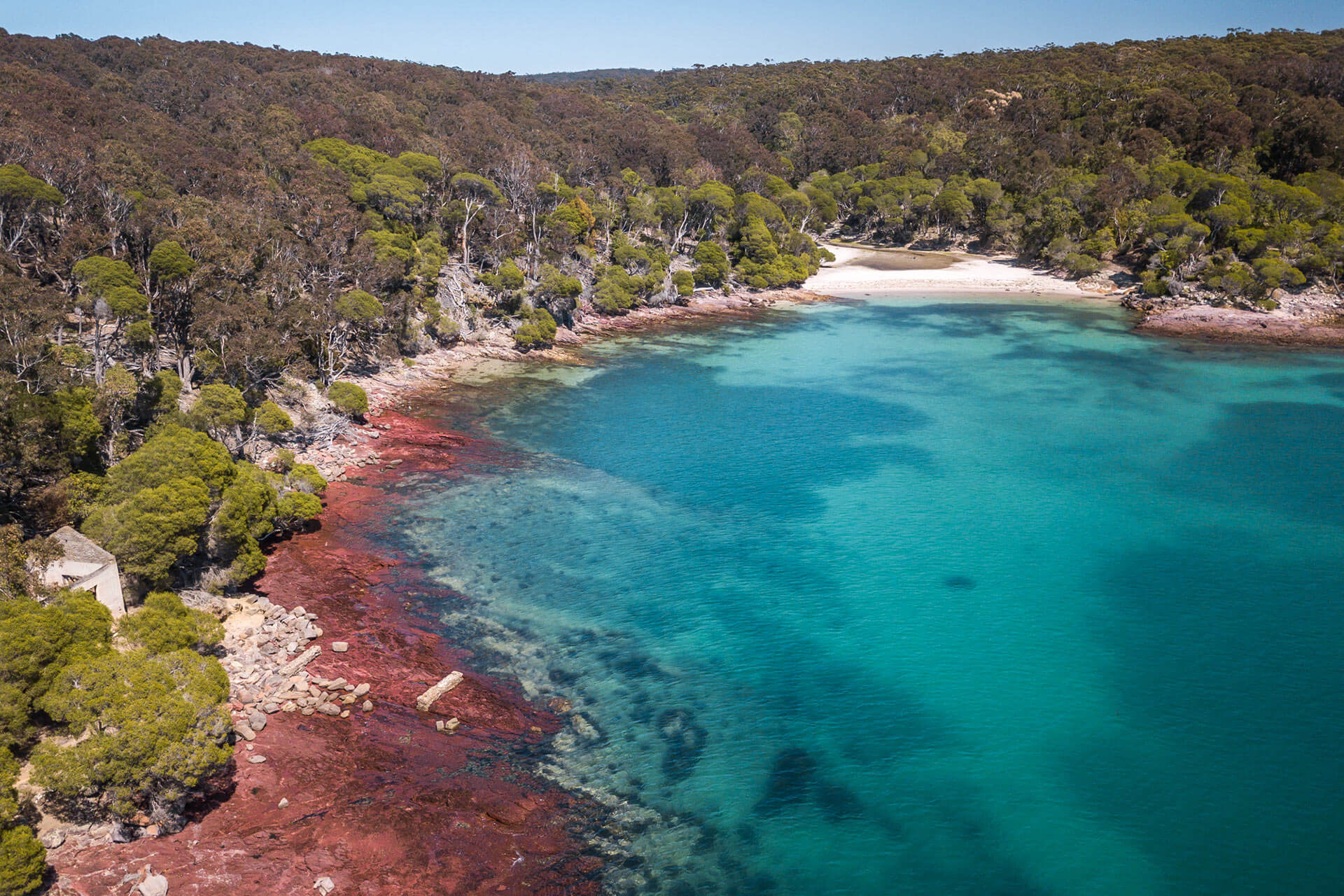 Light to Light Walk, Sapphire Coast Guiding Co, South Coast, NSW, Sapphire Coast, walks, hikes