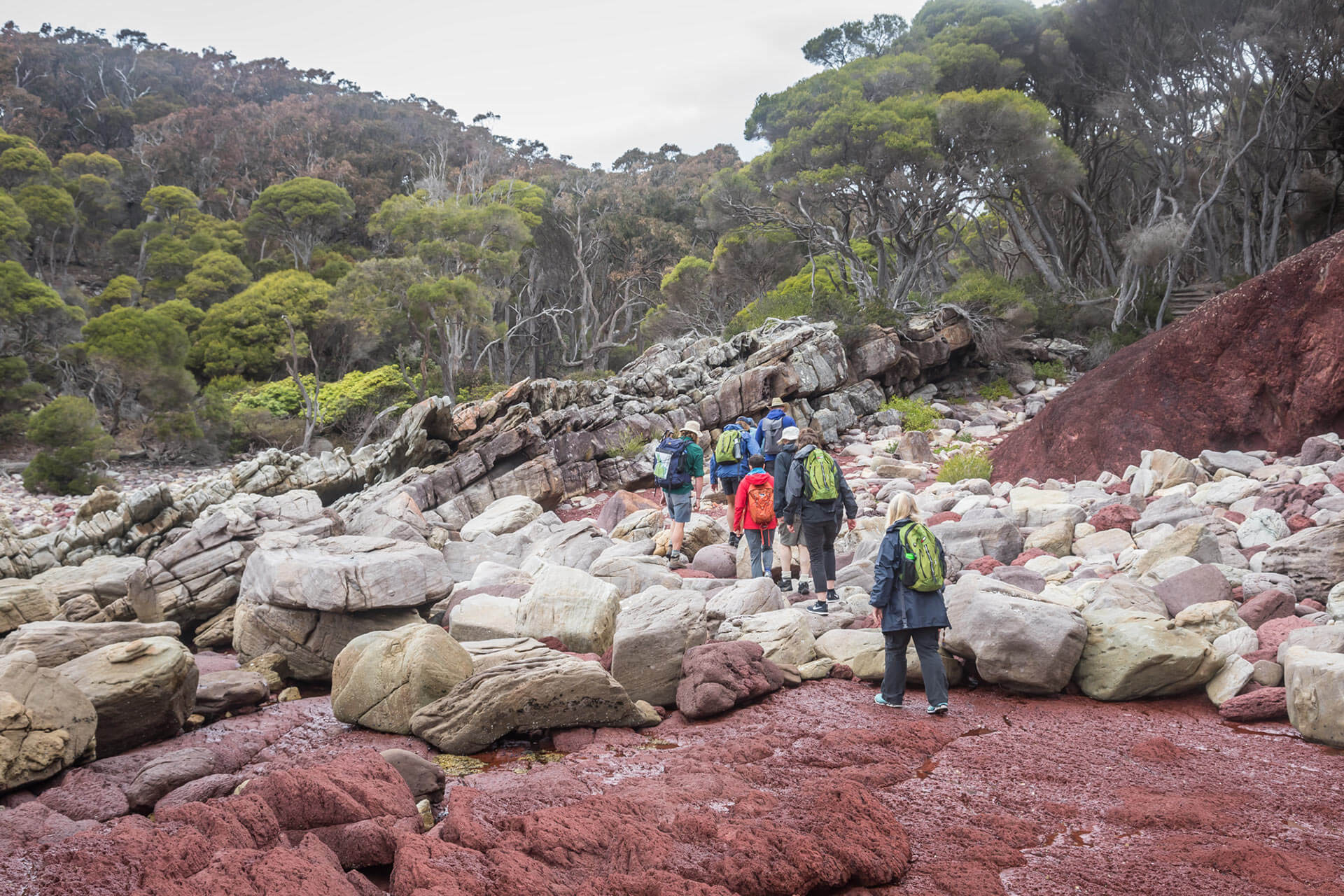 Light to Light Walk, Sapphire Coast Guiding Co, South Coast, NSW, Sapphire Coast, walks, hikes