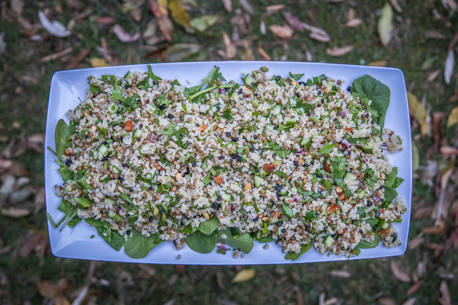 Light to Light Walk, Sapphire Coast Guiding Co, South Coast, NSW, Sapphire Coast, walks, hikes