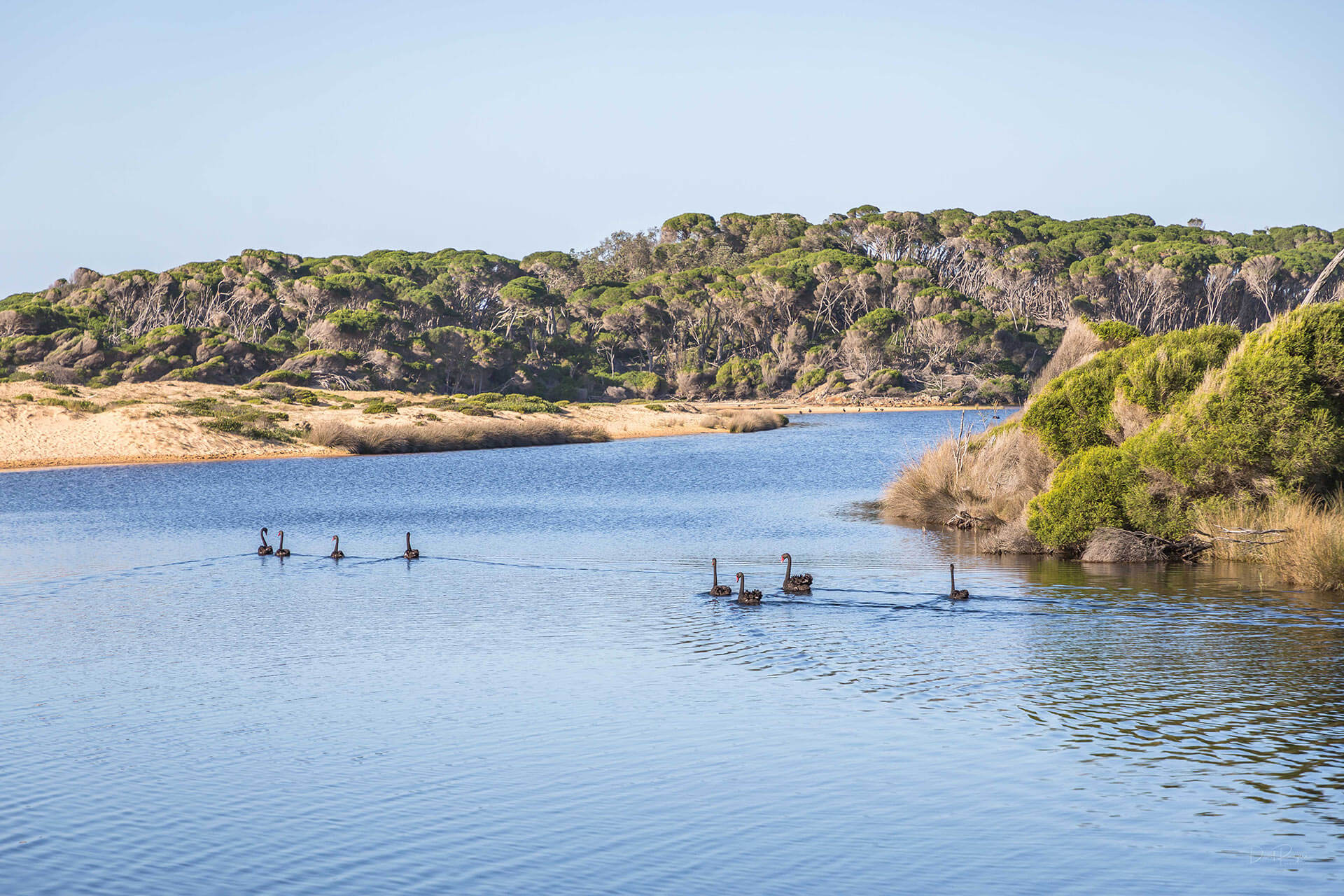 Bournda National Park, Light to Light Walk, Sapphire Coast Guiding Co, South Coast, NSW, Sapphire Coast, walks, hikes