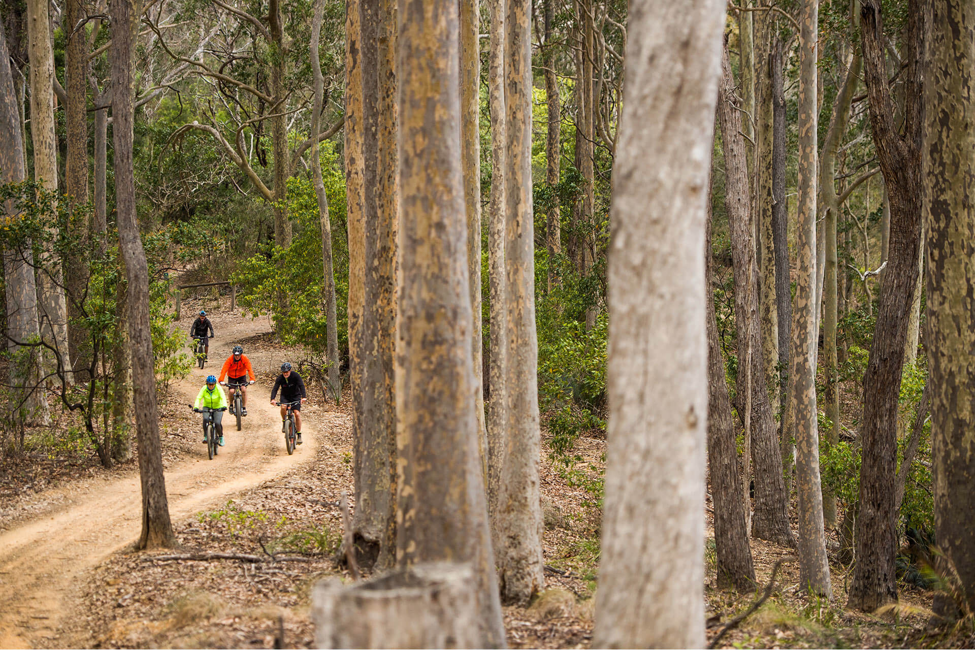 Biking Tour, E-Bike Tour, NSW, South Coast, Australia, Outdoor Tour, Sapphire Coast