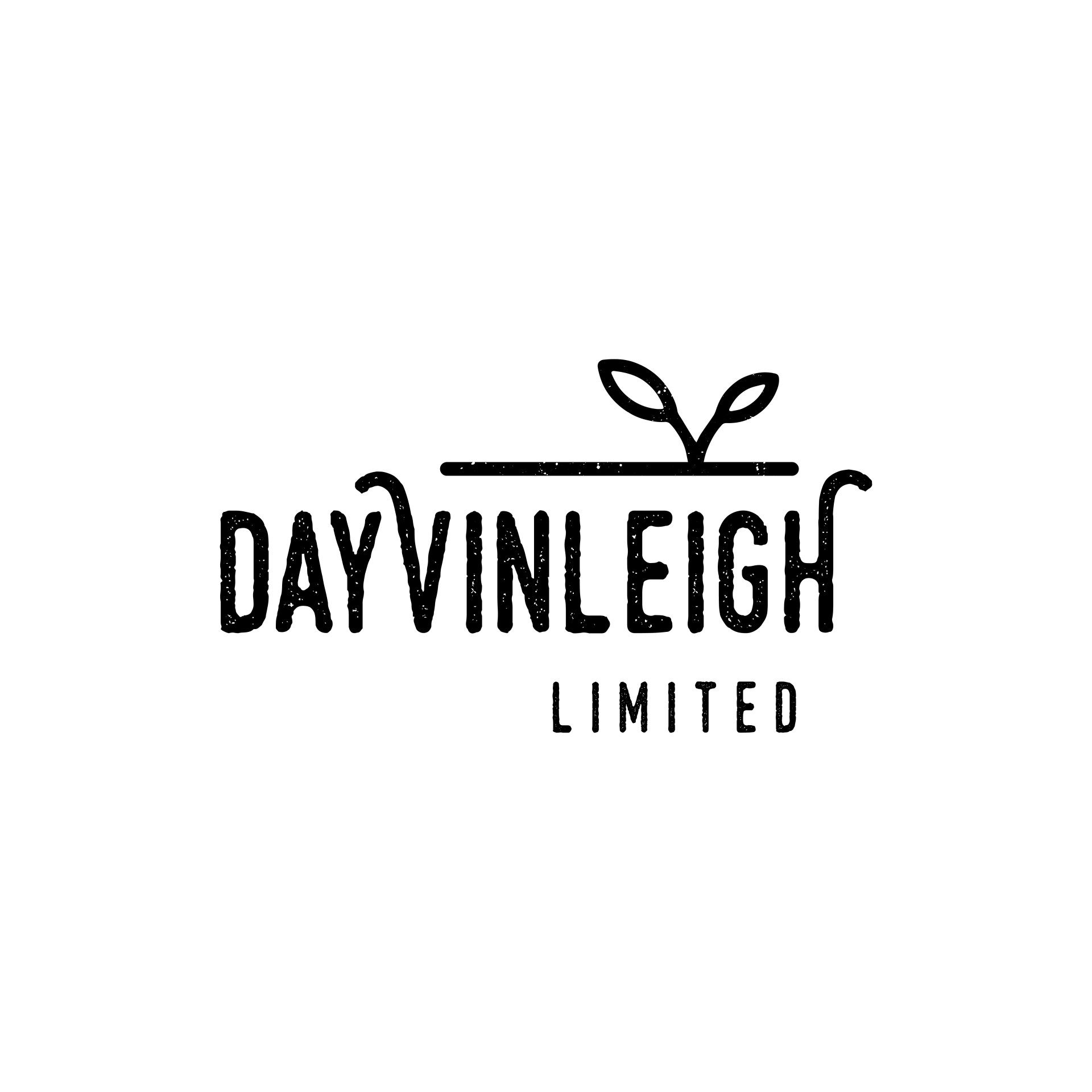Dayvinleigh limited logo designed by Vanilla Hayes creative graphic design  studio in Blenheim, Marlborough, New Zealand