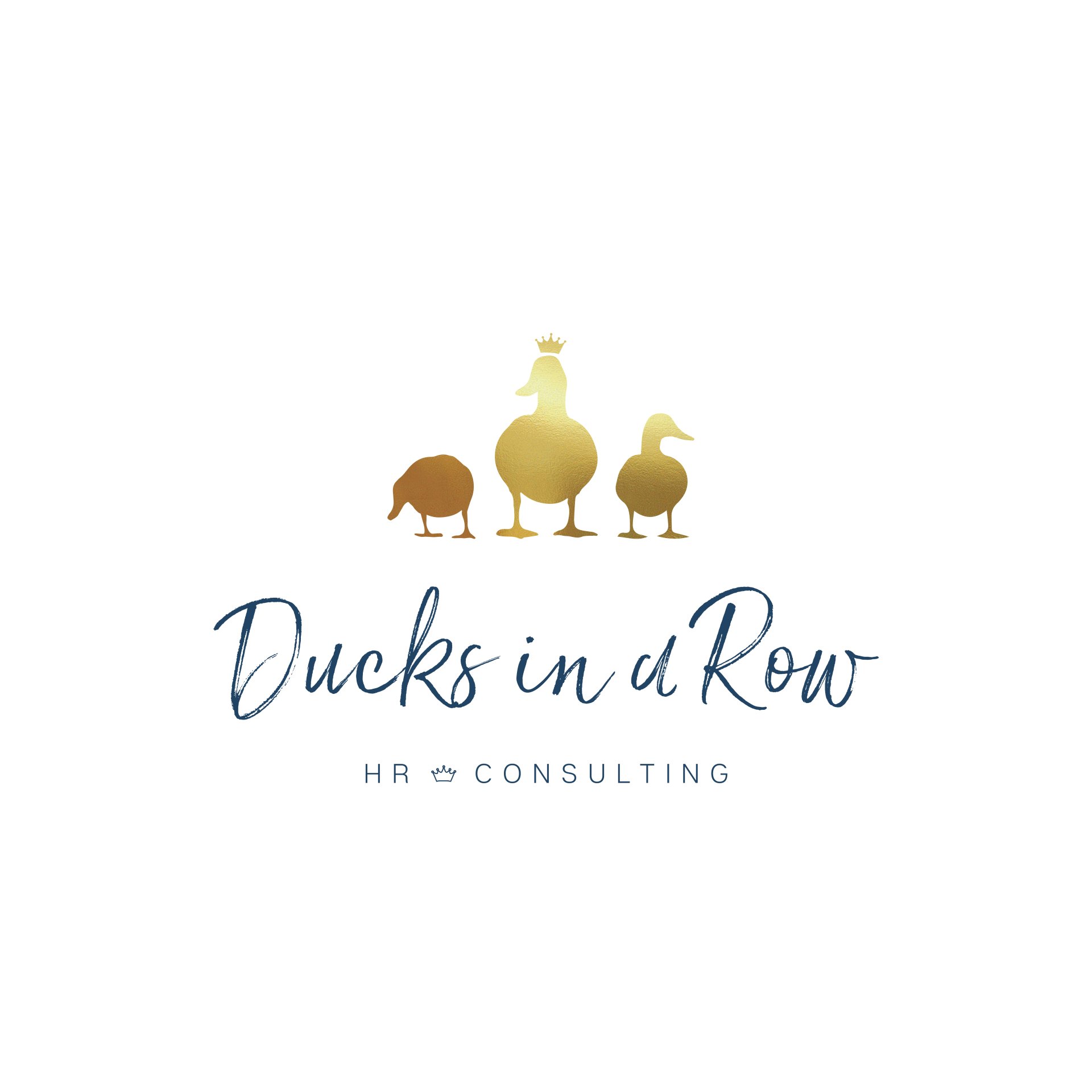 Ducks in a Row logo designed by Vanilla Hayes creative graphic design  studio in Blenheim, Marlborough, New Zealand