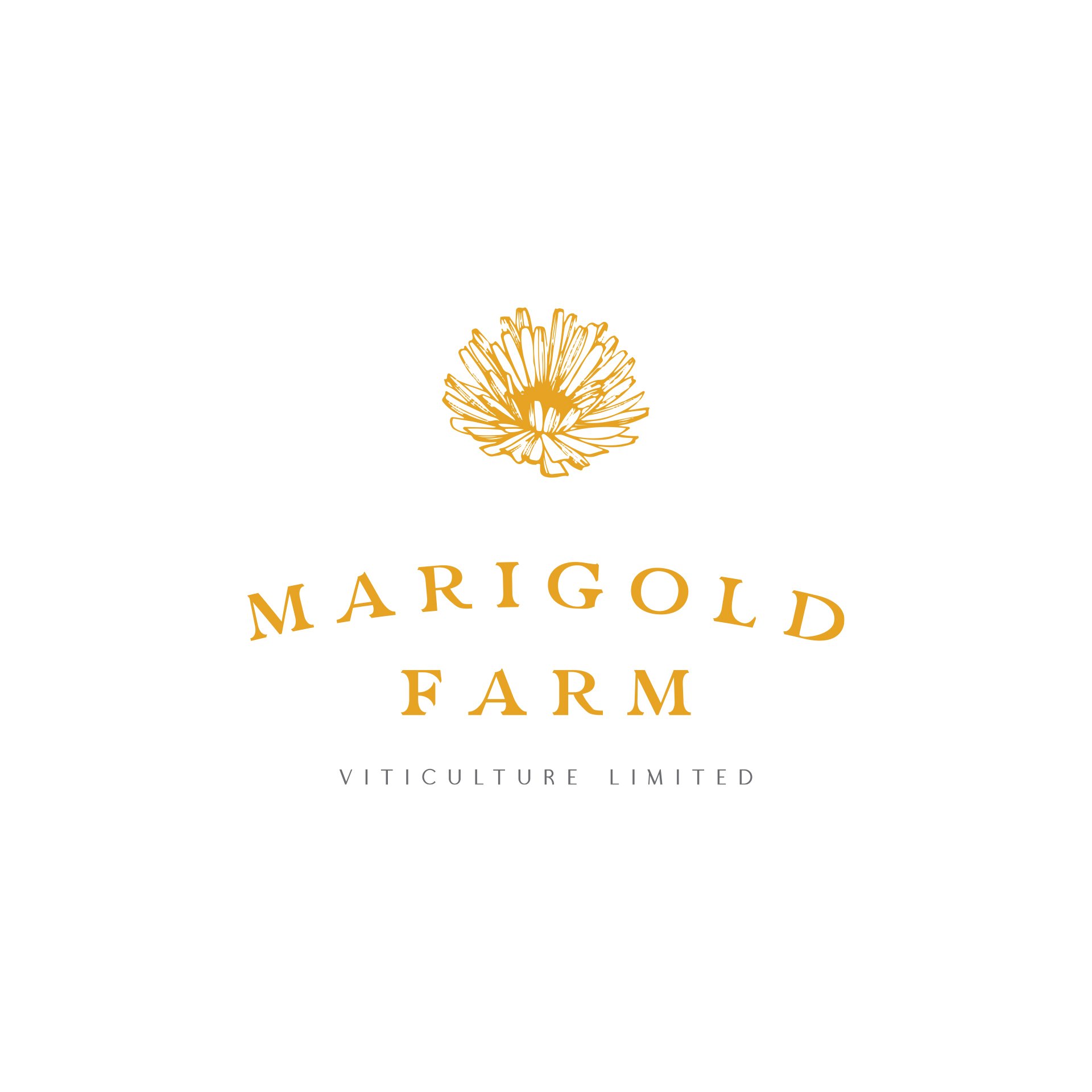Marigold Farm logo designed By Vanilla Hayes