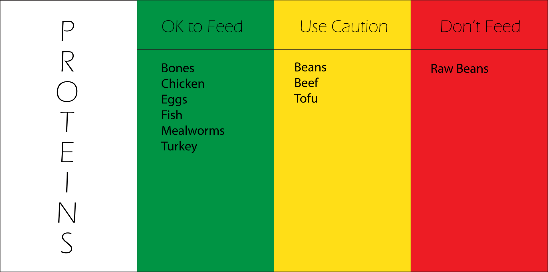 Rats Love Treats! 30 Yummy Treats For Your Pet Rats