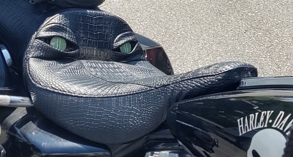 Custom Embroidery & Printing by Upholstery 1 Trim Shop Wilmington NC