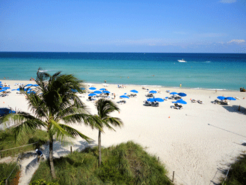 Jacksonville Luxury Transportation