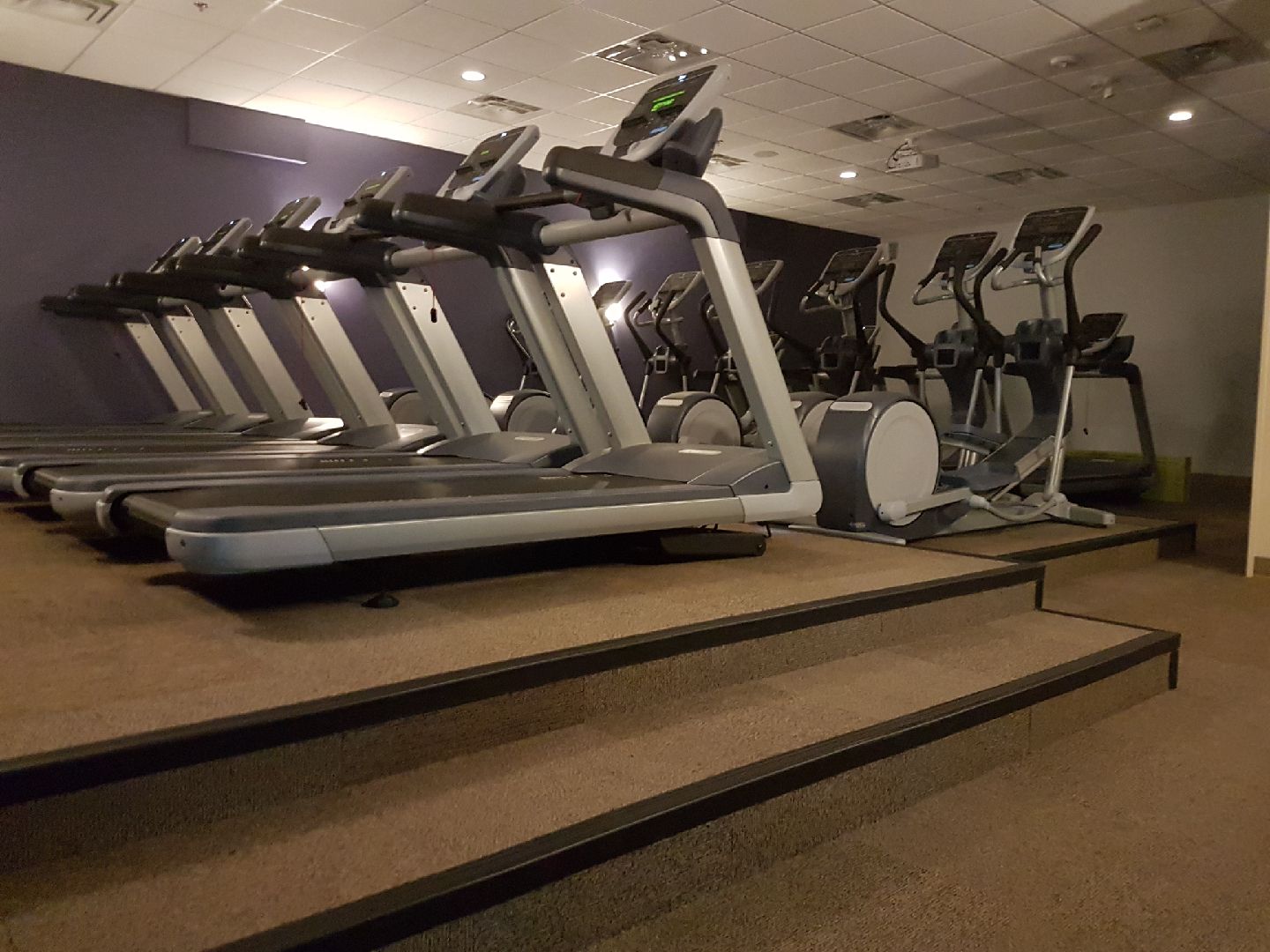 Locations Motion Fitness Red Deer
