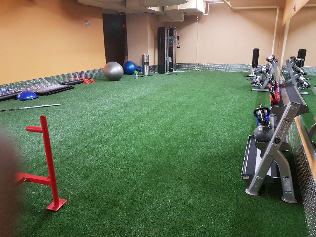 Locations Motion Fitness Red Deer
