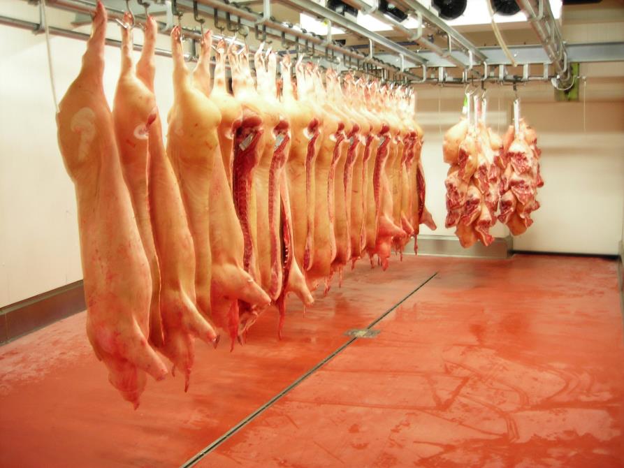 Industrial Flooring | Floorpride Outlet Store | Richmond, Nelson