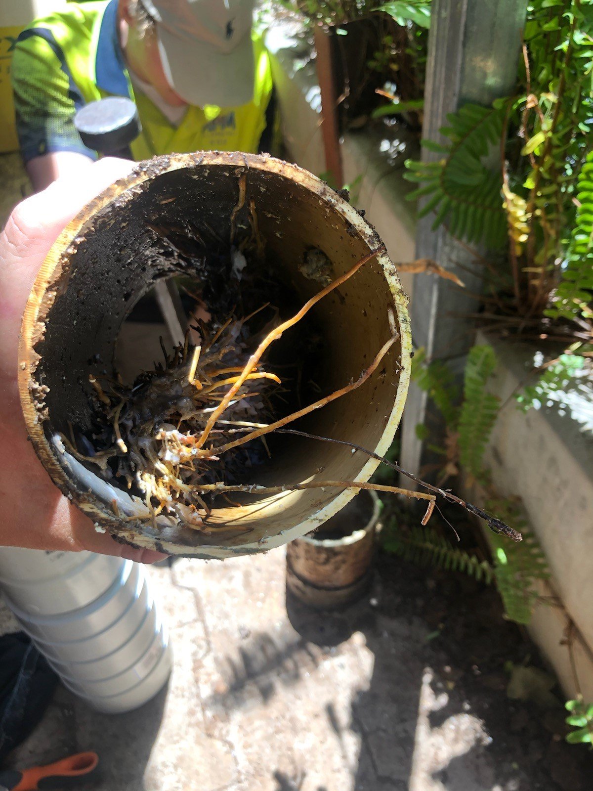 Blocked Drains in Adelaide Hills APM Plumbing