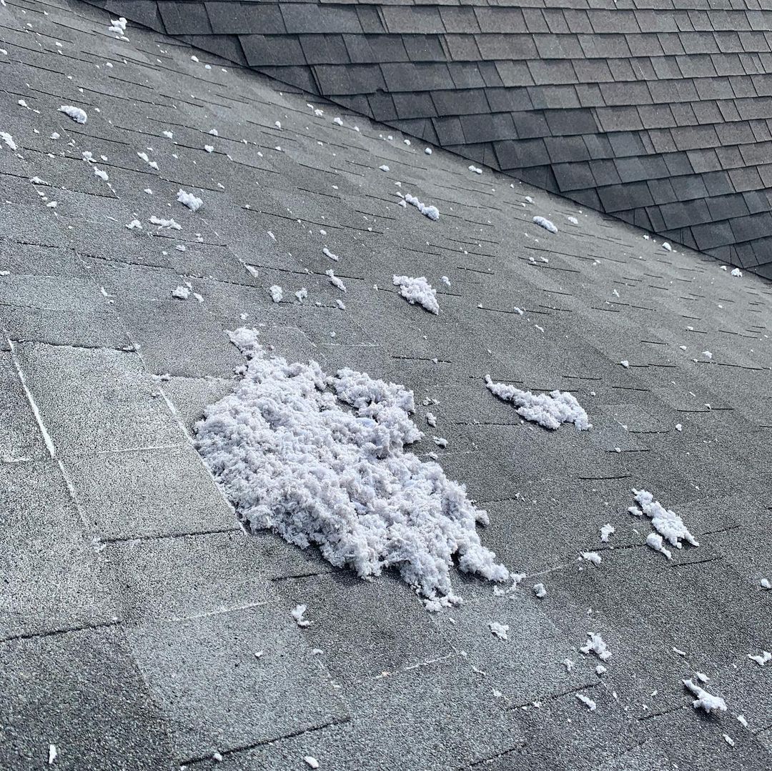 Affordable Dryer Vent And Air Duct Cleaning Service in Reno